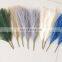 Wholesale Artificial Plant Pampass Pampa Pompas Faux Bouquet Small Pink White Decorative Fluffy Decoration Pampas Grass