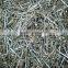 polished common wire nails factory