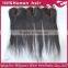 China  High Quality Silk Base Lace Brazilian Straight Human Hair Closure