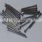 China Common Wire Nail Factory/Iron Nail/Wire Nail