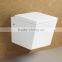 Two Piece White Glazed China Toilet