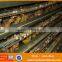 Cheap quail cage with automatic drinking system cages for quails