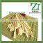 flat wood sticks supplier