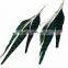 Long Beads Green Peacock Feather Earrings