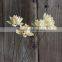 2016 New Artificial water lily Wholesale Home Decoration Garden Decoration Cheap Natural Dried Lotus Artificial Flowers