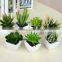 wholesale artificial mini succulent flower plants, mini flower bonsai