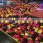 Customized design high jump indoor trampoline with dodge balls,slam dunk,sea balls,foam pit for adult and kids