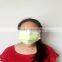 Polypropylene Cleanroom Face Mask with Earloops