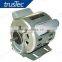 Ac motor