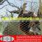 Hand-woven Stainless Steel Wire Rope Mesh for decoration or animal enclosure