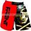MMA Shorts MS 16