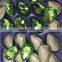 Light Green Color 20x30mm Drop Shaped Metal Claw Pointback Fancy Crystal Rhinestone For Bracelet