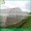 Low Cost High Tunnel Greenhouse for Tomato Growing
