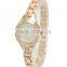 New models from Doris Watches Wholesale  women quartz watches fashion style on  custom your own watch