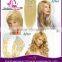 16"--24" Factory Wholesale Price Best Popular Blond Clip In Human Hair Extension