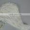 Halloween Party Feather Angel Wing