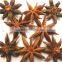 No Stem Well Dried Star Aniseeds