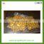 Shandong frozen peeled chestnut for sale with high quality