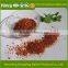 Best quality of Sweet Dried tomato/New product of pure chinese delicious dried tomato