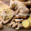 Dried Ginger Exporters from India