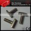 Professional manufacturer specialized in stainless steel 304 316 DIN216 T square head bolt