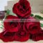 Big bud flower fresh red rose flower export for Valentines Day gifts