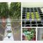 Agricultural Rockwool Cubes for Hydroponics Growing plants