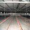 uganda poultry farm automatic chicken equipment