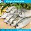 prominent Tilapia gutting machine