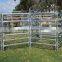 Australia/New Zealand 2.1M*1.8M galvanized cattle yard panel