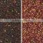 Mini Grains Color Sorter Equipment with Superb After-sale Service