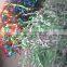 Popular in wedding and gifts beautiful confetti colorful paper