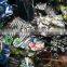 GZY large number of wholesale flip-flops stock