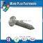 Made In Taiwan DIN 7971 C ISO 1481 450 HV Standard Slotted Pan Head Tapping Screw with Cone End Type C