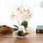 Creative Decoration Artificial Plants 3 Branches Silk Orchid Pot