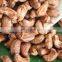 commercial cashew nut shelling machine cashew nut shelling machine for selling