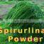 Fine product Spirulina Powder for health