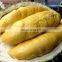 HIGH QUALITY FRESH DURIAN FROM VIET NAM