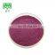 Water soluble red cabbage powder