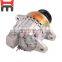 4D84 Diesel engine Engine Alternator Generator 19020700