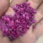 Pink Fused Alumina Price Chrome Electrocorundum Grit F40 F46 Abrasive Raw Material