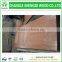door skin with different wood veneer