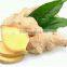 Commercial Multifunctional Ginger Cutting Machine