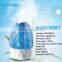 China Wholesale 4.0L Ultrosonic Cool Mist Humidifier