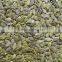 Class A, AA, AAA GWS Pumpkin Seeds Kernels