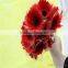 Wholesale most popular beautiful gerbera daisi