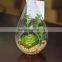 Hanging Glass Terrarium Necklace Decorative Succulent Plants Tropical Plants