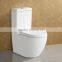 High Quality Wall Mounted Ceramic Toilet