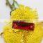 7*20MM Rectangle Red color Flat Back Hand sewing Glass Rhinestone