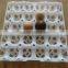Capacity 20 turkey eggs plastic quail egg tray